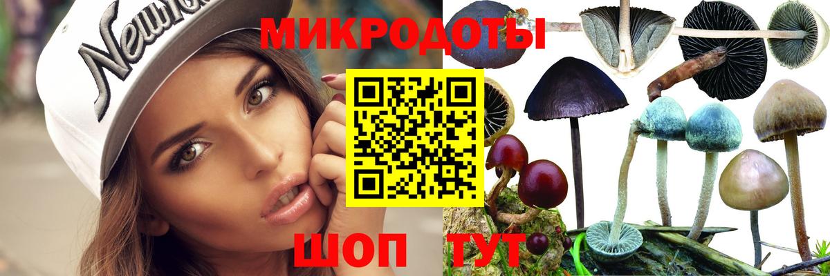 Галлюциногенные грибы Psilocybine cubensis Находка